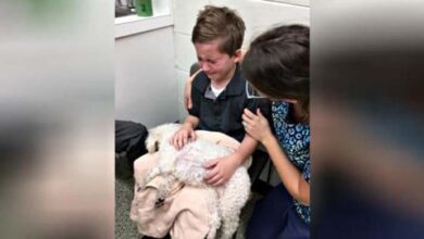 Photo of Adopted Boy Wants To Be The One Holding His Dying Dog As She Goes To Heaven