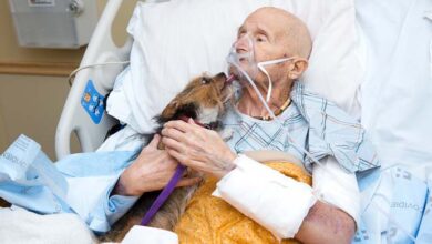 Photo of Dying veteran in hospice gets his final wish: to see his dog one last time