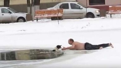 Photo of Heroic Man Risks His Own Life, Jumps Into Icy Pond Barefoot and Shirtless to Save Drowning Dog