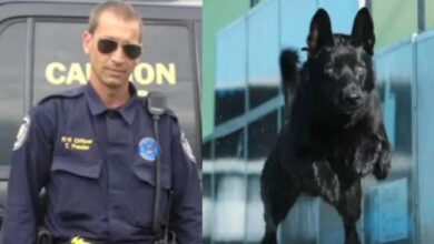 Photo of Attackers Beat Up Lone Cop, But They Didn’t Know His K-9 Partner Was With Him