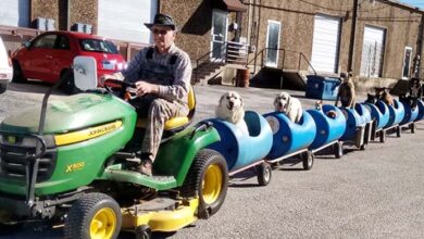 Photo of 80-Year-Old Grandpa Builds A Dog Train To Take Rescued Dogs On Adventures Twice A Week