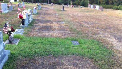 Photo of Soldier’s grave turns bright green, mother learns an ‘angel’ has been watching over him
