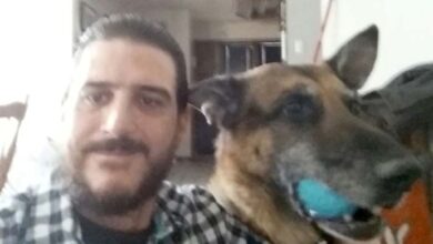 Photo of Man’s Stolen Dog Found: A Heartwarming Tale of Fate and Unbreakable Bond with Shelter Dogs