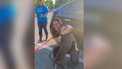 Photo of This excited dog just got his family back after going missing for two years