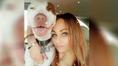 Photo of Woman Breaks Into Animal Shelter To Save Her Dog From Euthanasia