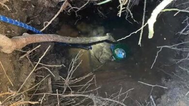 Photo of Dog Rescued From “Confined” 15-Foot Hole