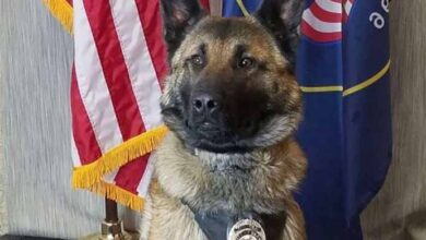 Photo of A Retiring Police Dog Gets His Final Goodbye Over A Radio Call
