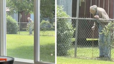 Photo of 94-Year-Old Grandpa Shares The Sweetest Routine With His Neighbor’s Dogs