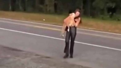 Photo of Woman Told Dog’s Not Worth Saving Because Of His Breed, She Didn’t Listen