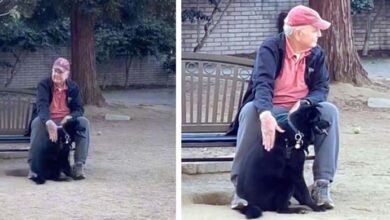 Photo of Woman Finds Her ‘Lost’ Dog Cuddling With A Stranger At The Park