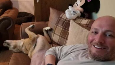 Photo of Dad and dog with same cancer make most of heartbreaking last days together