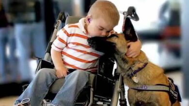 Photo of The Touching Story of a Sick Boy and His Rescue Dog
