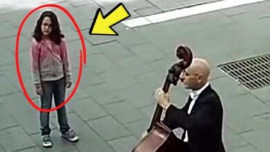 Photo of This Street Musician Was Ignored By Everybody, But Then A Little Girl Approaches To Him And Changed Everything – Let’s See…
