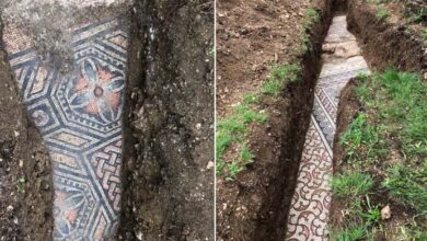 Photo of A beautiful mosaic floor was discovered in Italy