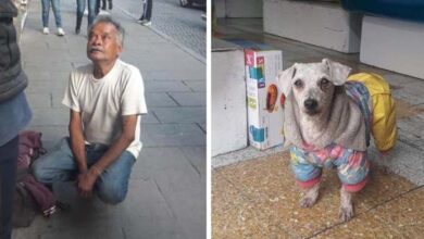 Photo of Homeless Man Who Sells Gum To Feed His Dog Cries When His Pup Got Stolen