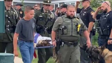 Photo of Law Enforcement Salutes K9 Tommy One Last Time After Euthanization