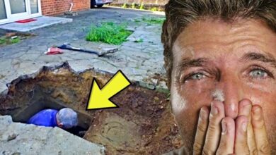 Photo of Man Kept Hearing Strange Noises Under Driveway, Look What He Found Inside