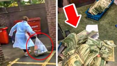 Photo of A Homeless Lady Finds $1 Million In Trash, Returns It To The Owner And He Kicks Her Out For This Reason..