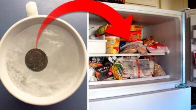 Photo of Here’s Why You Should Leave a Coin in the Freezer Before Leaving the House