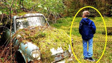 Photo of Little Boy Finds An Old Abandoned Car In The Forest, What He Finds Inside Of It Makes Him Shocked..