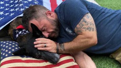 Photo of Navy SEAL Says Goodbye To His Dying K9 Partner And Cuddles Him In His Last Moments
