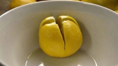 Photo of Here’s why it’s a good idea to keep a lemon in your bedroom all night