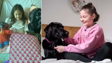 Photo of The Hero Dog Helping A Little Girl Battle Cancer, That Also Took Time Out To Save Her Dad’s Life
