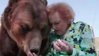 Photo of 99-Years-Old Actress Betty White Gives Giant Grizzly Bear A Kiss