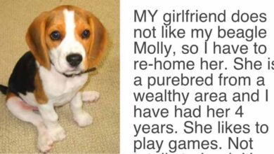 Photo of Girlfriend Gave Her Partner An ‘Ultimatum’, Demands Either “The Dog Goes” Or “She Goes”