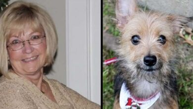 Photo of 70-Year-Old Woman Says She Wasn’t Allowed To Adopt Dog Because She’s