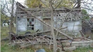 Photo of This Man Bought An Old Log Cabin for $100, What He Did With It Made Everyone Jealous