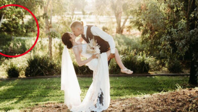 Photo of Chilling Detail In Couple’s Wedding Photo Months After Their Toddler Tragically Died