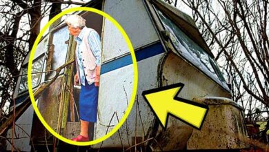 Photo of Millionaire’s Widow Is Found Living In A Dirty Old Trailer, But When They Looked Inside They Were Shocked..