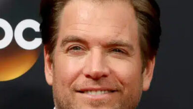 Photo of Former “NCIS” star Michael Weatherly mourn the loss of his younger brother Will