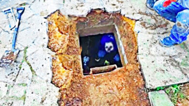 Photo of What One Man Found After Noticing Strange Noises From Under His Driveway…What He Found?