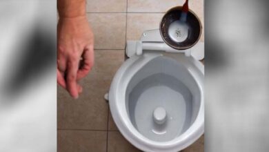 Photo of Add Vinegar to Your Toilet Tank. The Immediate Result Will Surprise You