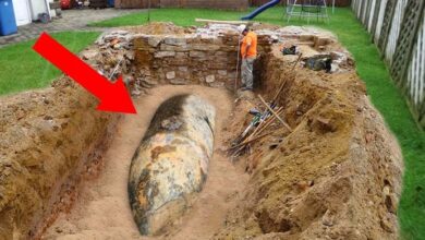 Photo of This Man Dug a Hole in His Backyard He Was Not Ready For What He Discovered There
