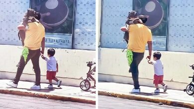 Photo of Father praised for choosing to carry his large dog instead his small son