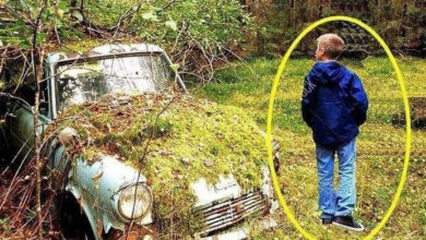 Photo of Kid walking through forest finds an abandoned old car, notices an old box with an envelope inside