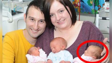 Photo of The Woman Gave Birth To Healthy Triplets – After 10 Minutes The Doctor Admitted To A Big Mistake