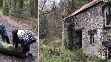 Photo of Couple Finds Abandoned Cottage Hidden Deep In Woods, Open Door To Find It ‘Frozen In Time’