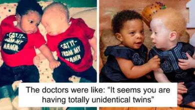 Photo of Mom Of Black And White Twins Often Gets Asked Which One Of The Boys Is Hers