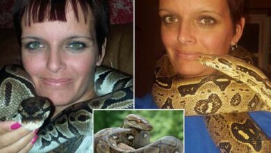 Photo of Indiana Woman’s Body Found With 8ft Python Wrapped Around Neck