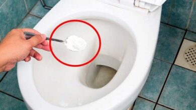 Photo of Why is it a good idea to put salt in the toilet? This is something that plumbers will never tell you.