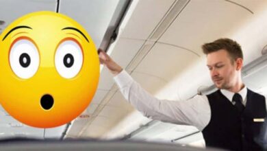 Photo of Flight Attendant Gives Hilarious Response To An Arrogant Rich Woman