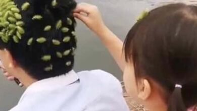 Photo of Girl began placing strange objects on her father’s head – then suddenly…