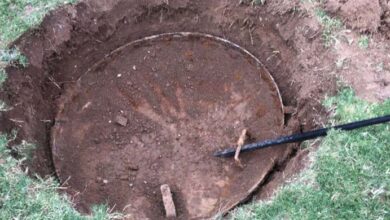 Photo of A Man Digging In His Backyard Makes The Most Shocking Discovery.