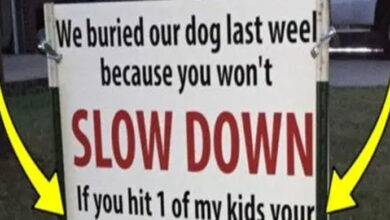 Photo of After Dog Gets Hit By Car, Sign Has The Entire Neighborhood Talking