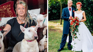Photo of Woman thinks she married the love of her life until husband makes her choose between him and her dogs