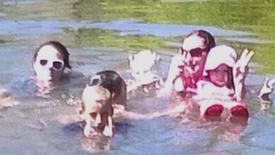 Photo of Mom Took 3 Kids Swimming Only To Look At Photo Taken That Day And See ‘Ghost’ Of 4th Child